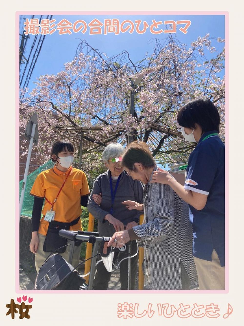 【西院】桜🌸撮影会🌸