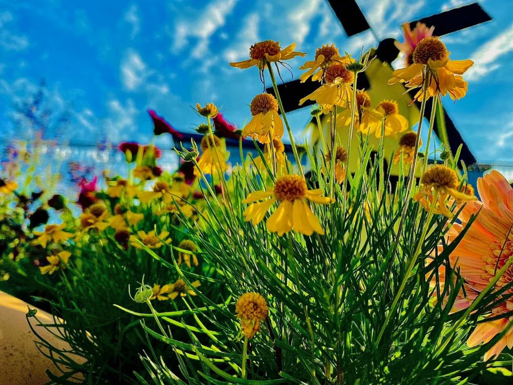 【新潟ガーデン亀田】ファーム＆ガーデン付きサ高住！咲き誇る200種類の花々！