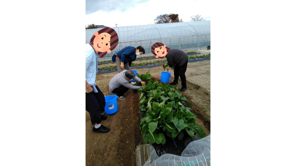 【ガーデン新潟亀田】季節の野菜と越冬プランについて