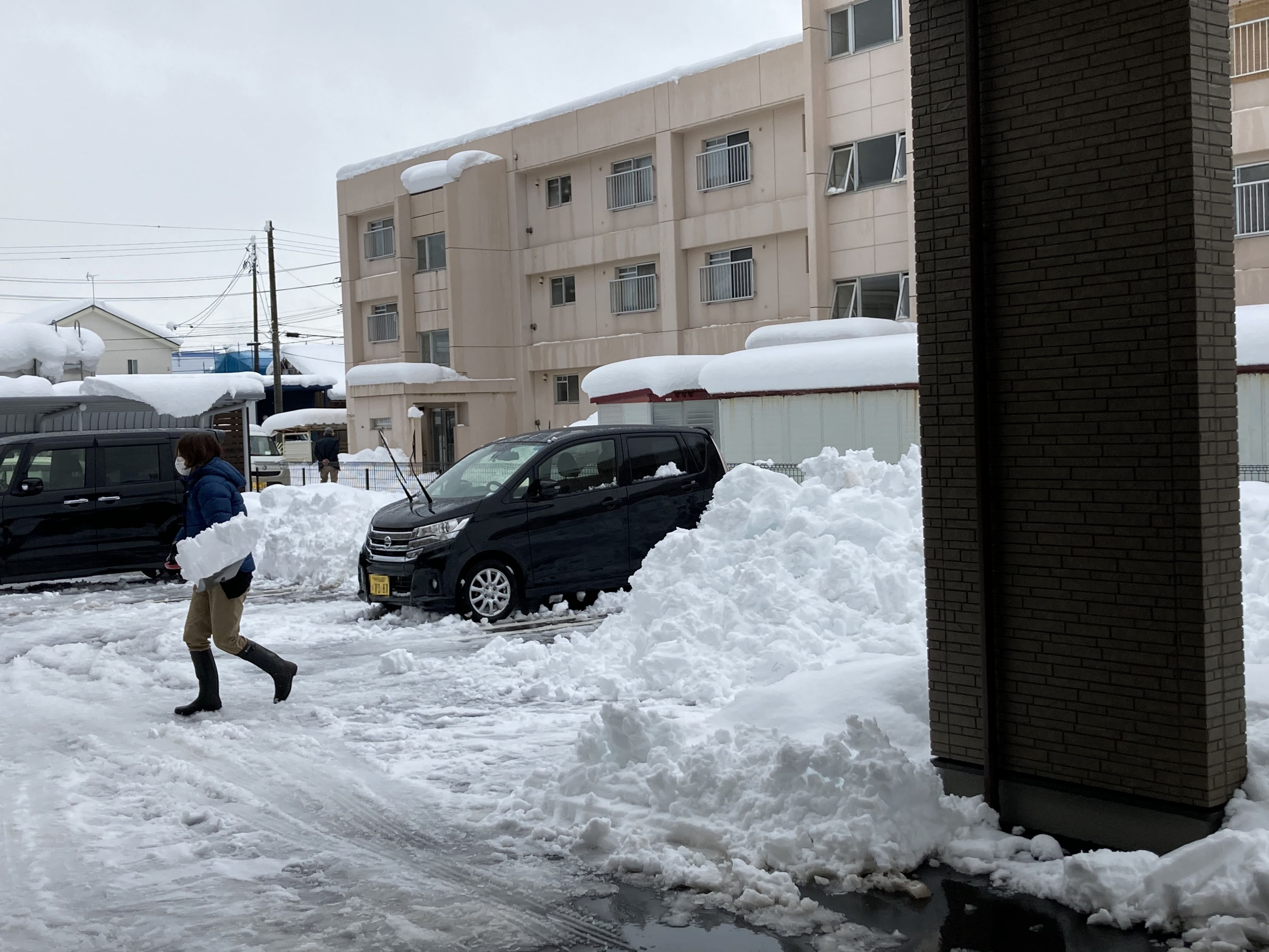 【新潟あぶみ】新潟は大雪⛄