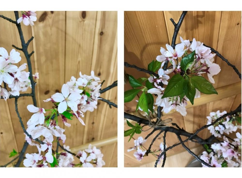【中浦和】4月　桜とチューリップ　ファミリー