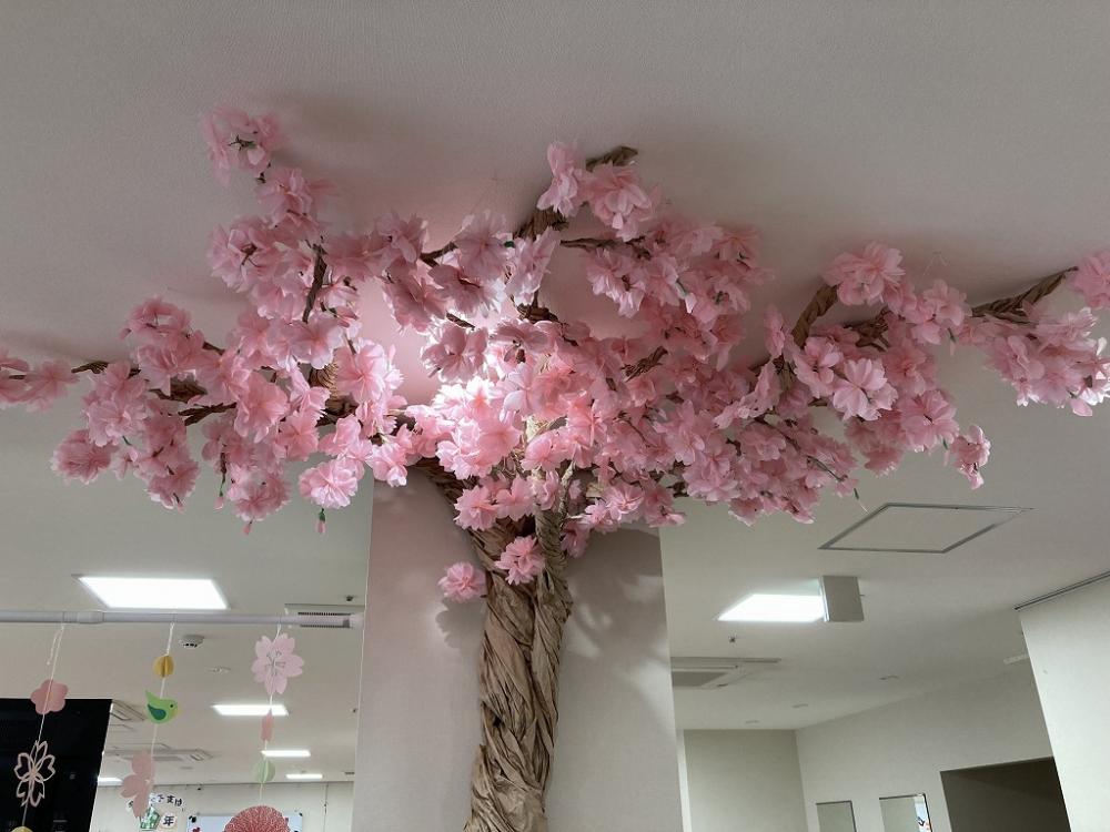 【坂戸】満開の桜＆最新お部屋情報