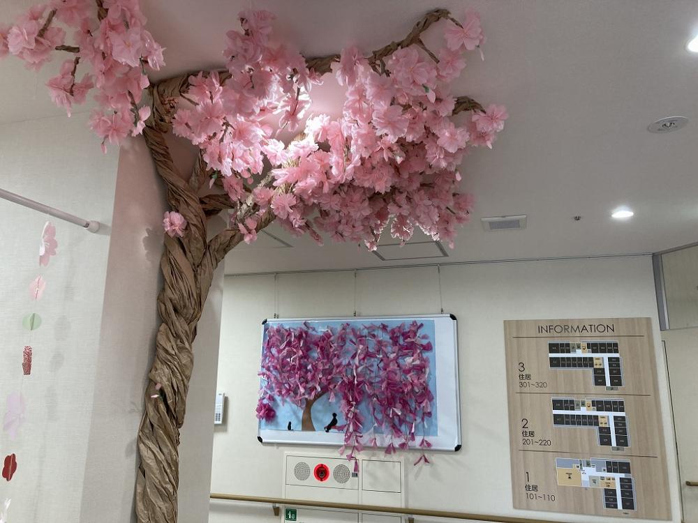 【坂戸】満開の桜＆最新お部屋情報
