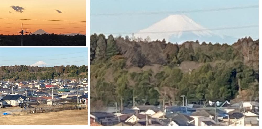 【あすみが丘】富士山が見えました🗻桜満開🌸風景もオススメです